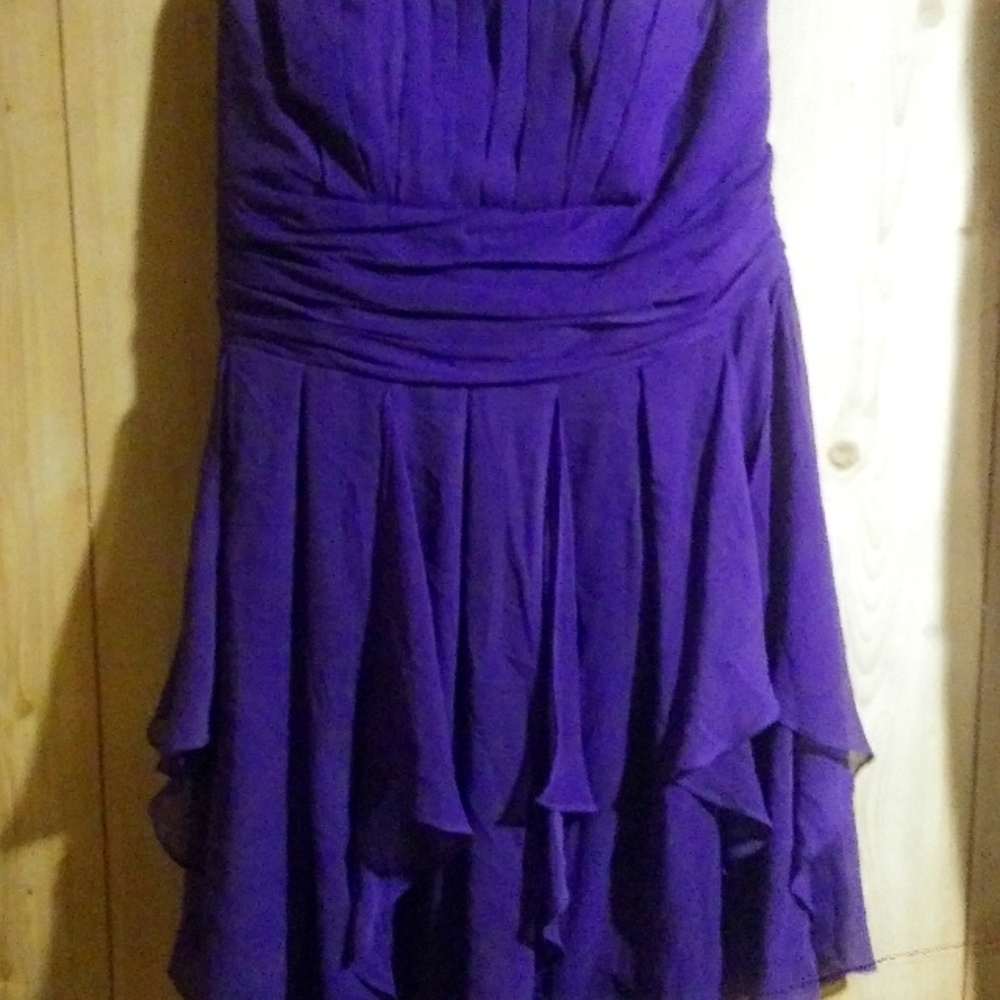 Purple David's Bridal Strapless Formal Gown..